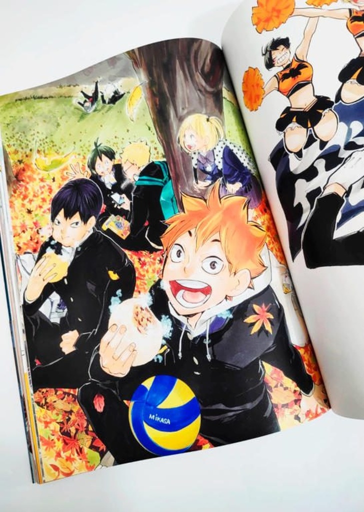 Artbook Haikyu!!