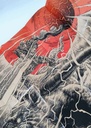 Berserk 41 Portada Variante