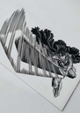 Berserk 41 Portada Variante
