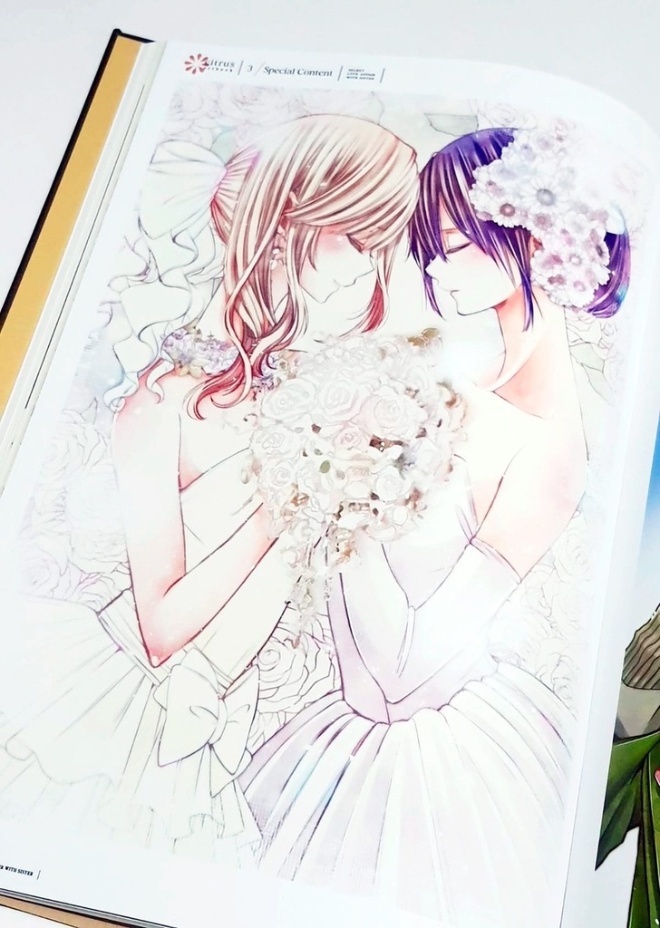 Artbook Citrus 10th aniversario