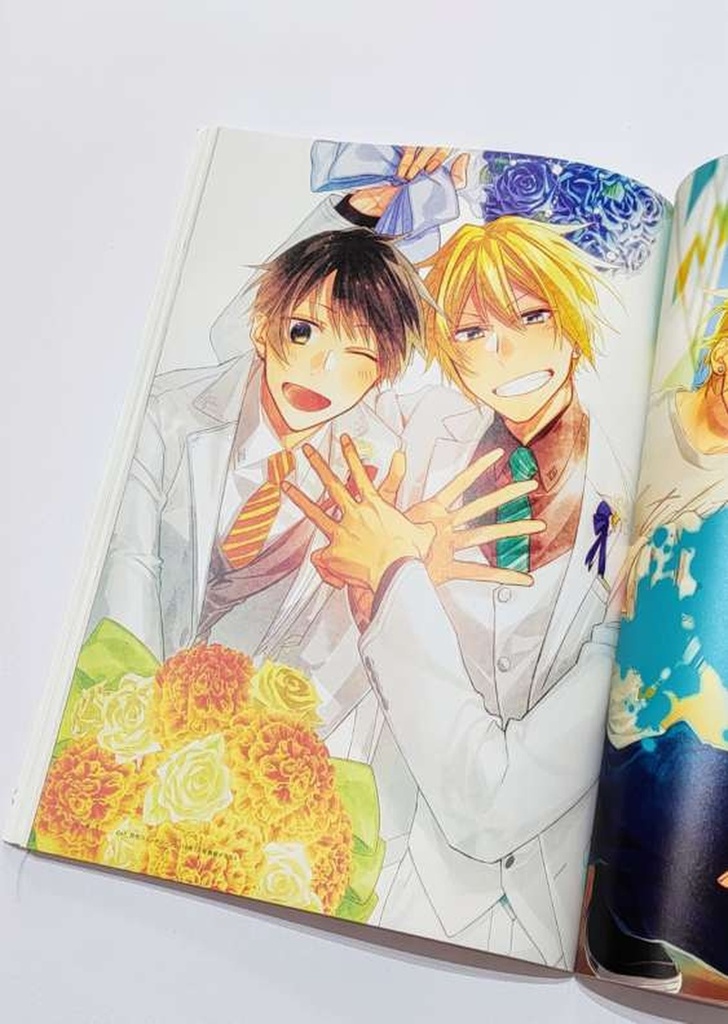 Artbook Sasaki to Miyano
