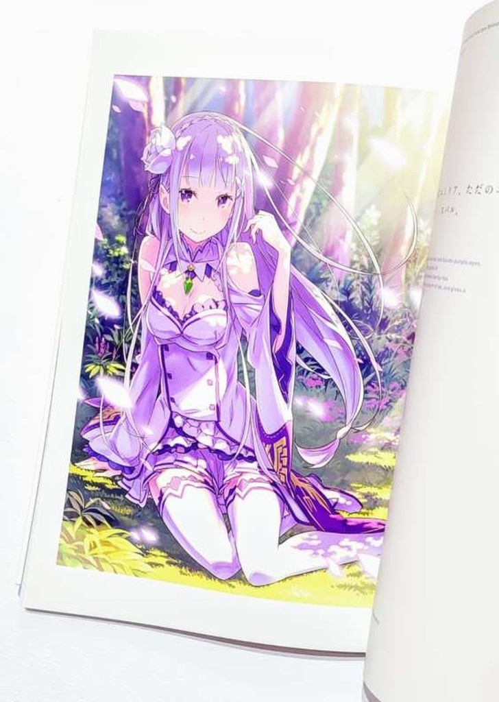 Artbook Re:Zero Re:BOX