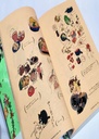 Artbook Dungeon Meshi