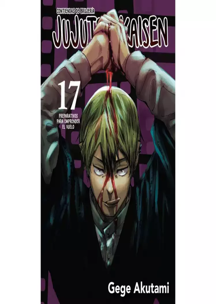 Jujutsu Kaisen 17