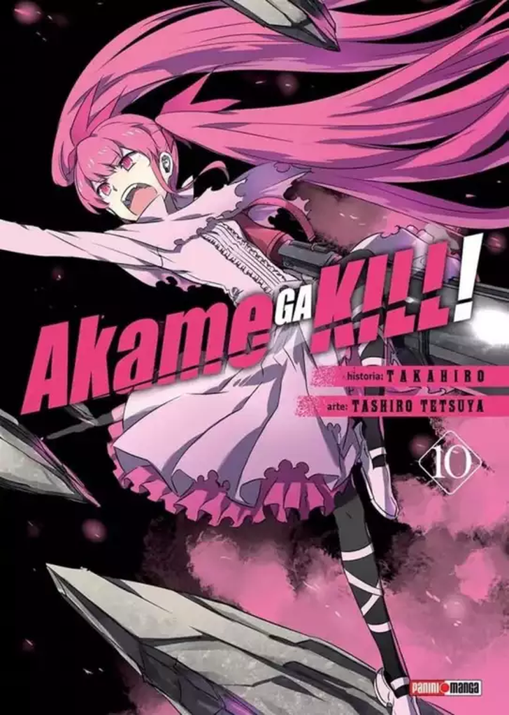 Akame Ga Kill 10