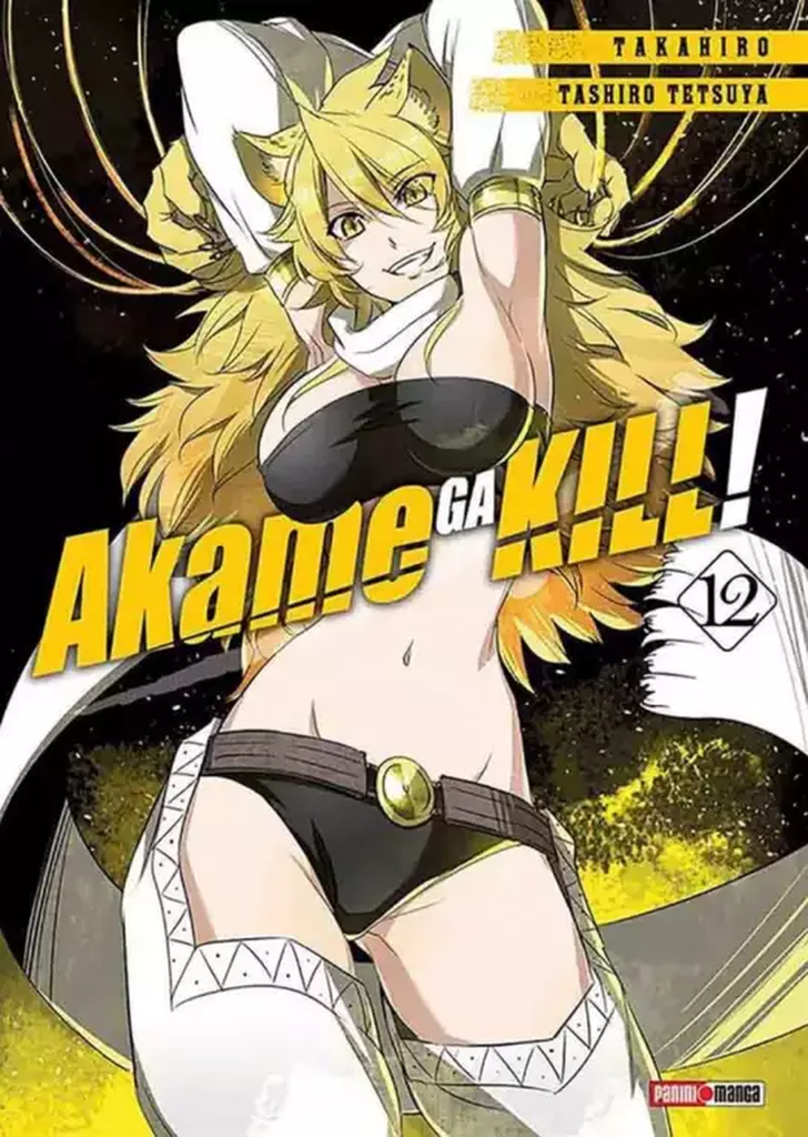 Akame Ga Kill 12