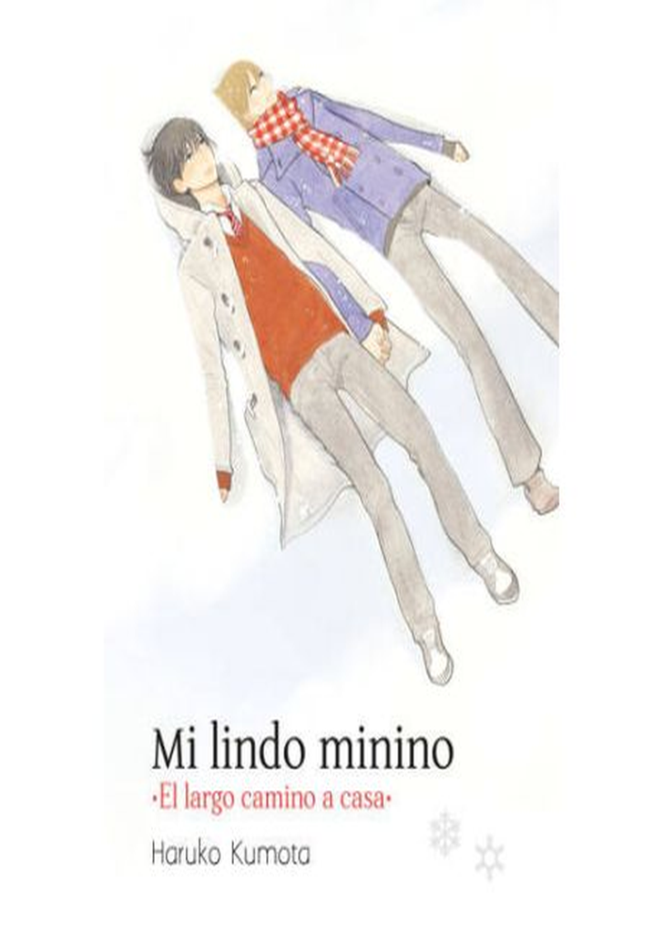 Mi lindo minino: El largo camino a casa