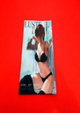 Artbook Ecchi Lustful Devils