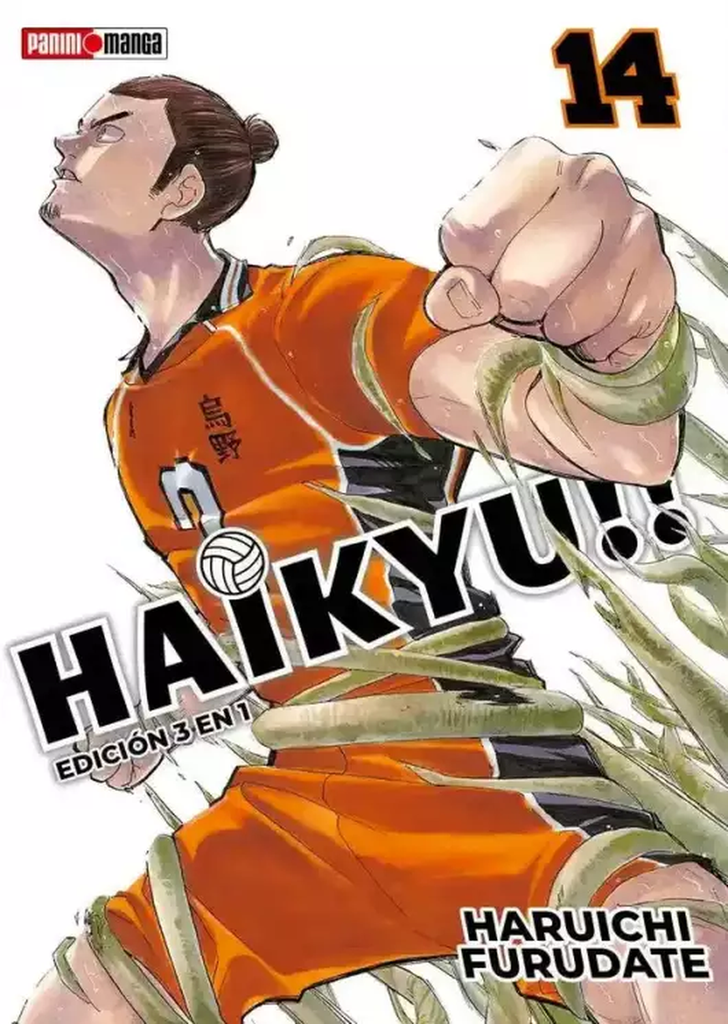 Haikyu!! (3 In 1) #14