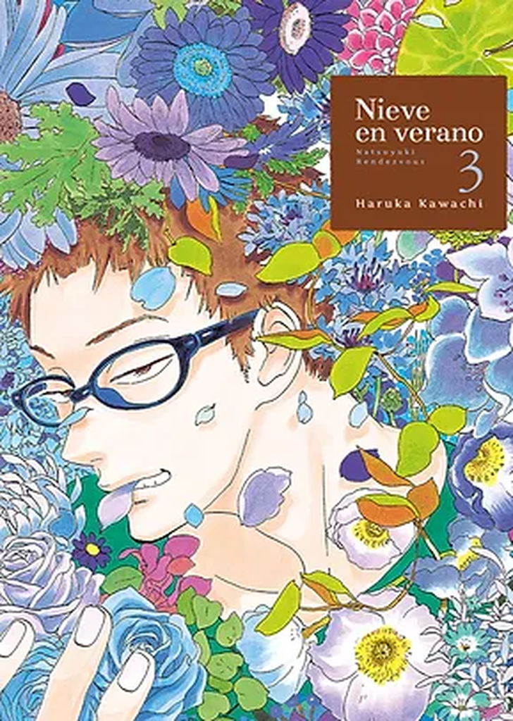 Nieve en verano 03