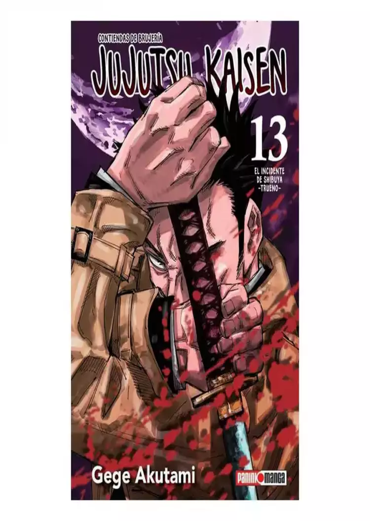 Jujutsu Kaisen 13