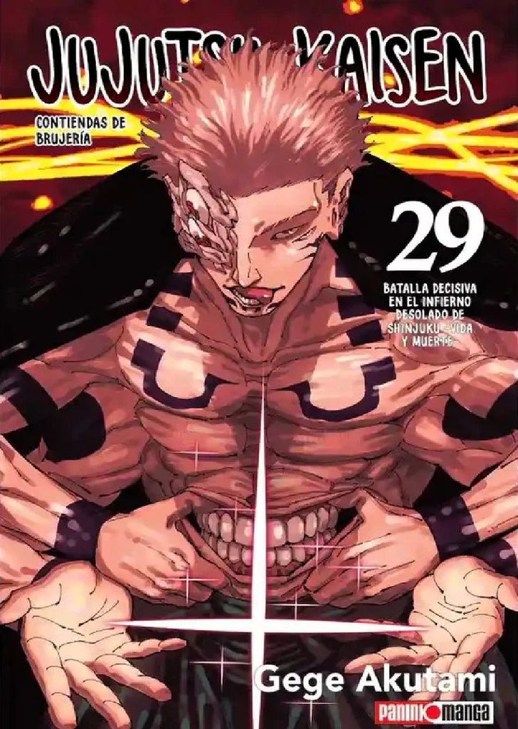Jujutsu Kaisen 29
