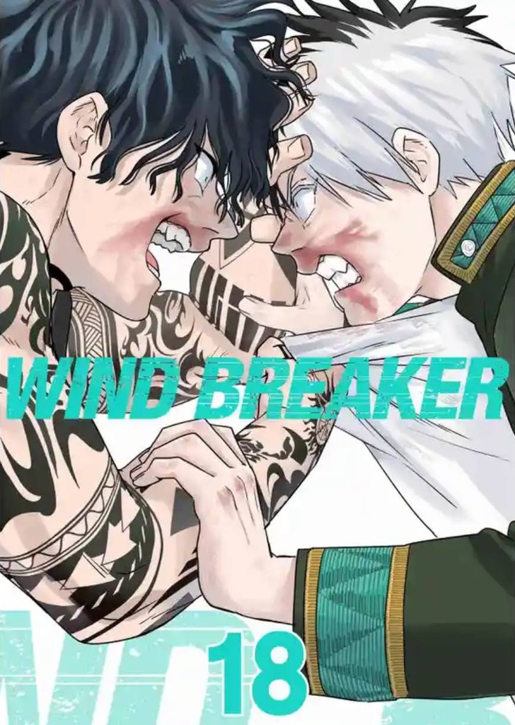 Wind Breaker N.18
