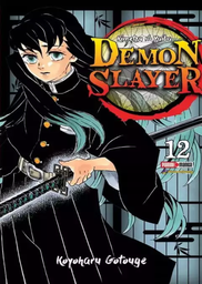 Demon Slayer 12