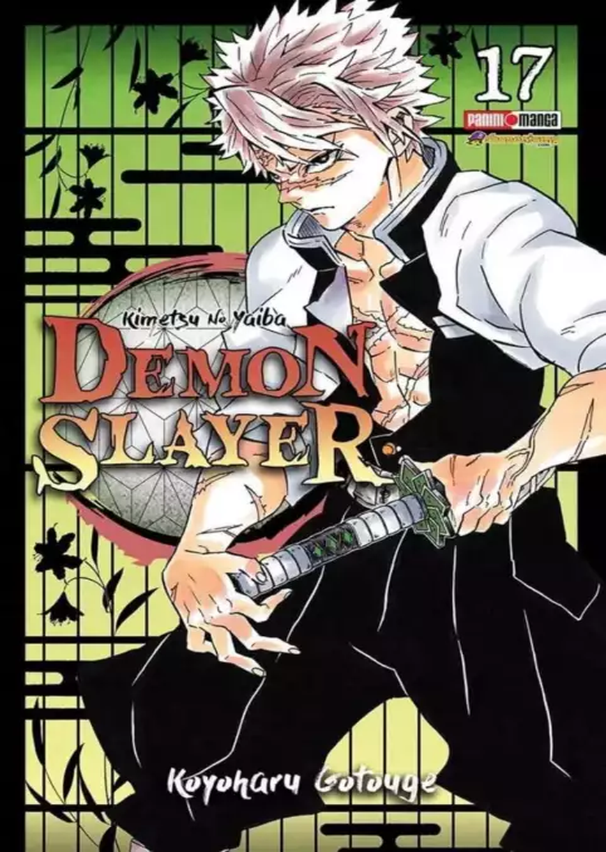 Demon Slayer 17