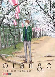 [MT-0-0310] Orange 6