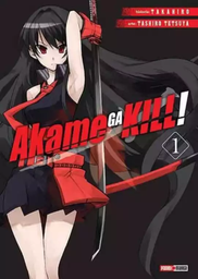 Akame Ga Kill 01