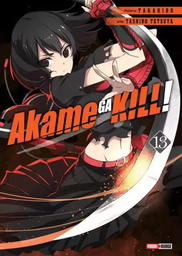 Akame Ga Kill 13