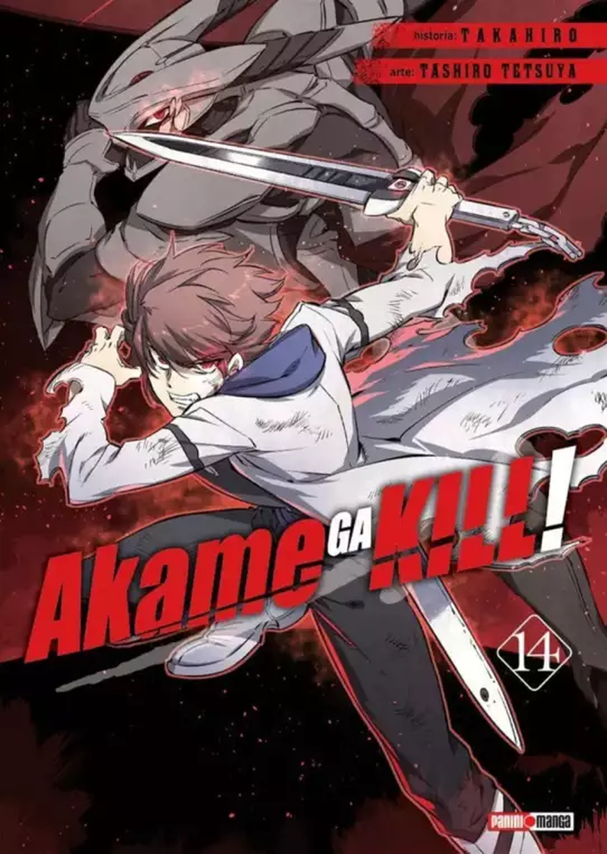 Akame Ga Kill 14