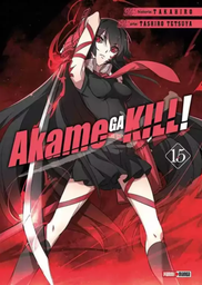 Akame Ga Kill 15