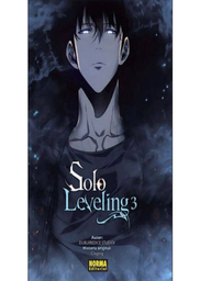 [MT-0-1042] Solo Leveling 3