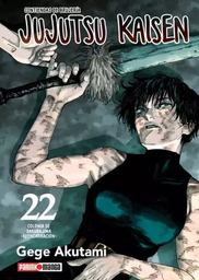 [MT-0-1163-1-1-1-1-1-1-1-2-1] Jujutsu Kaisen 22